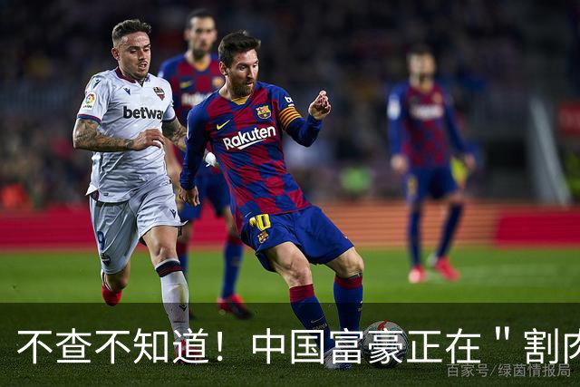 不查不知道！中国富豪正在＂割肉＂补税，卢麒元的话终于有人信了