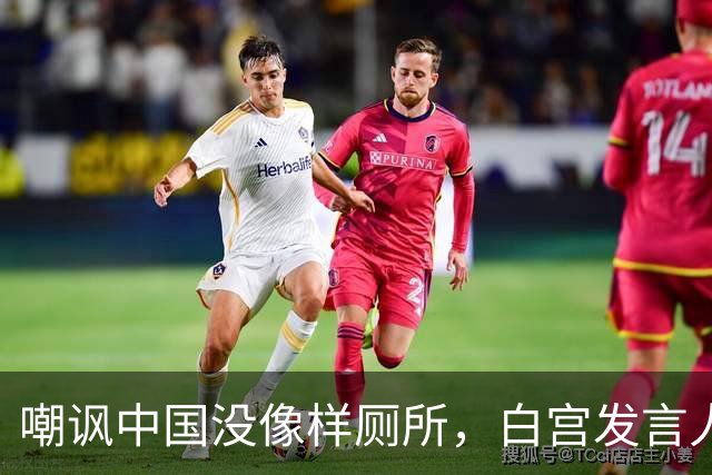 嘲讽中国没像样厕所，白宫发言人干了5天就走人，毛宁一句话亮了